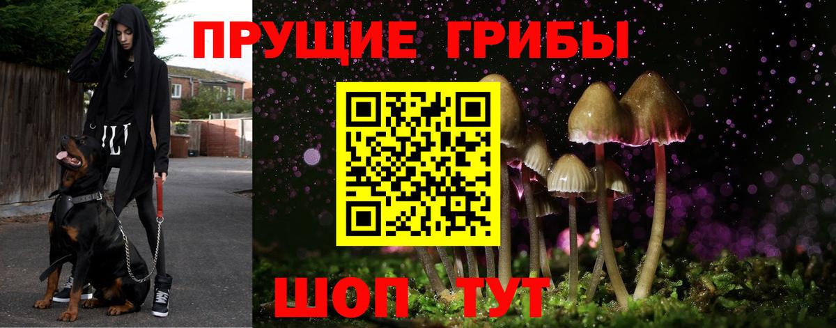 Галлюциногенные грибы ЛСД Саров